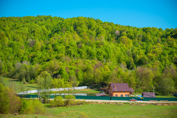 The beautiful nature of mountains and forests, the concept of recreation and tourism 