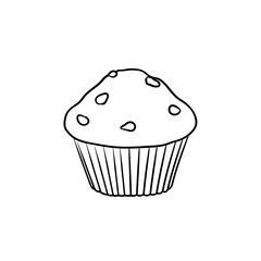 Muffin hand drawn outline doodle icon. Vector sketch illustration of muffin for print, web, mobile and infographics isolated on white background.