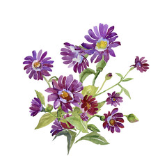 Obraz premium Bouquet from red flowers.Watercolor pattern.