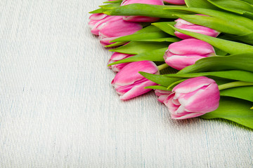 Bukiet różowych tulipanów na jasnym tle, miejsce na tekst. 