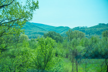 Fototapeta premium The beautiful nature of mountains and forests, the concept of recreation and tourism 