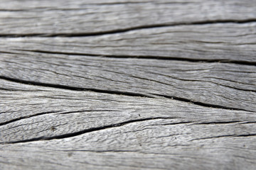 Wooden texture