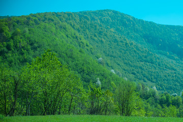 The beautiful nature of mountains and forests, the concept of recreation and tourism 