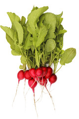 A bunch of radishes