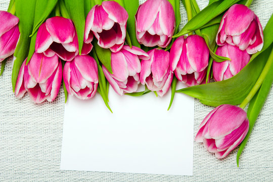 Pink tulip bouquet and sheet of paper on light background, copy space