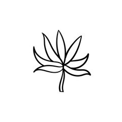 Plant leaf hand drawn vector outline doodle icon. Vector sketch illustration of plant leaf for print, web, mobile and infographics isolated on white background.