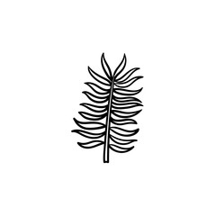 leaves of palm tree hand drawn vector outline doodle icon. Vector sketch illustration of palm leaf for print, web, mobile and infographics isolated on white background.