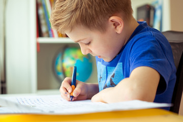 Intelligent boy makes homework in his room