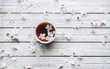 Cup of tea and spring apricot blossom on a wooden background. Rustic. Copy space. Overhead view.