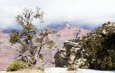 Grand Canyon - Arizona, USA
