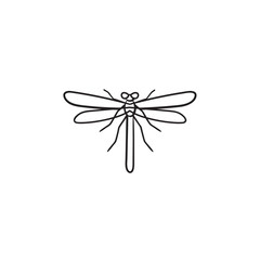 Dragonfly hand drawn outline doodle icon. Insect dragonfly vector sketch illustration for print, web, mobile and infographics isolated on white background.