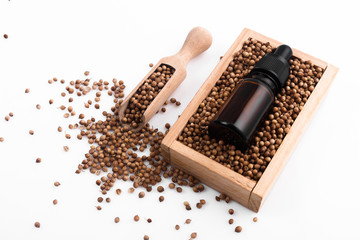 coriander seeds on a white background, essential oil