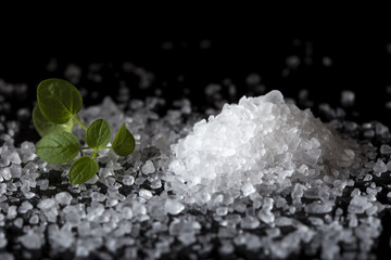 Close up of a sea salt heap near green oregano leaves