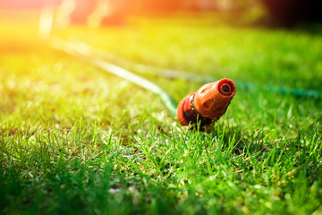 Fototapeta premium Watering plants in the garden, irrigating the soil. Garden work. The man is watering plants in the garden. View of a garden hose and a shaft lying on the ground. Saving water, care of plants.