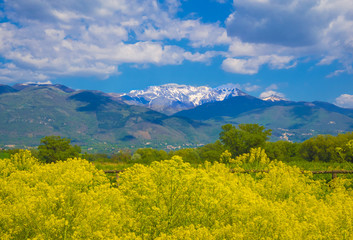 Fototapeta premium Rieti (Italy) - Natural Reserve of lakes Lungo and Ripasottile, with Terminillo mountain, at the spring