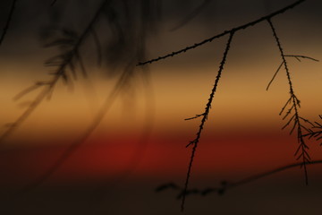 couch&eacute;e de soleil