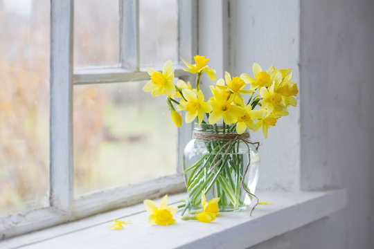 yellow flowers in vase