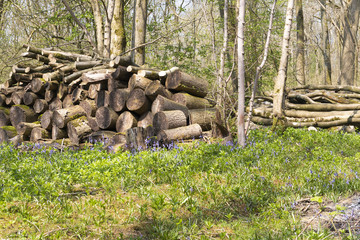 Stack Of Logs