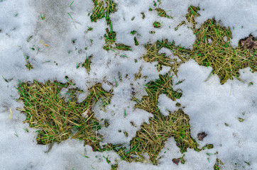 Old grass and melting snow texture background.