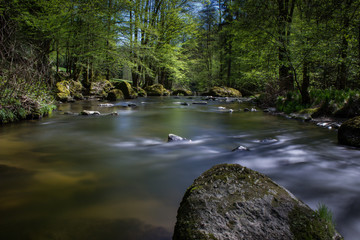 Naklejka premium Fluss Aist