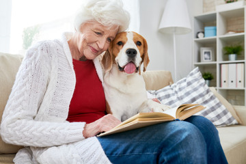 Positive smiling attractive elderly woman in casual clothing sitting on sofa and reading book while...