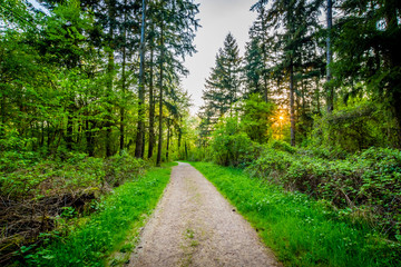 Fototapeta premium Wander-Lust - Germany