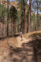 Obraz premium Woman on Path in the Quiet Peaceful Forest