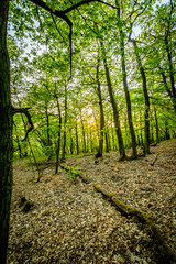 Wander-Lust - Germany