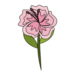 Beautiful flower symbol vector illustration graphic design