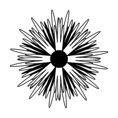 Obraz premium Beautiful flower symbol vector illustration graphic design