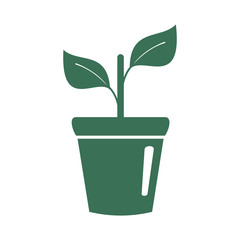 Rostock. A flower in a pot. House plant. Icon.