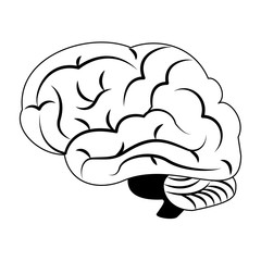 Human brain isolated vector illustration graphic design