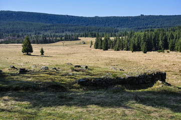 Krajobraz Gór Izerskich © Grzegorz Polak