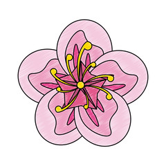 Beautiful flower symbol vector illustration graphic design