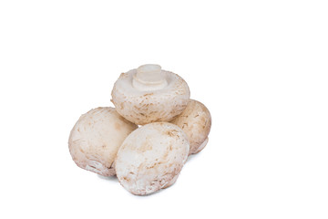 White mushrooms protein isolate on white background. Without a shadow