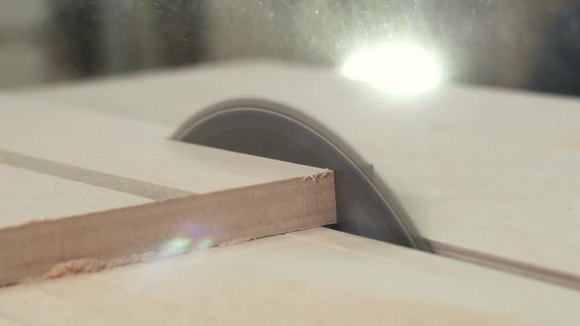 Circular table saw cutting wood in carpenter workshop close up