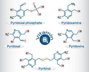 Obraz premium Vitamin B6 ( pyridoxal phosphate, pyridoxamine, pyridoxal , pyritinol, pyridoxine). Structural chemical formula and molecule model