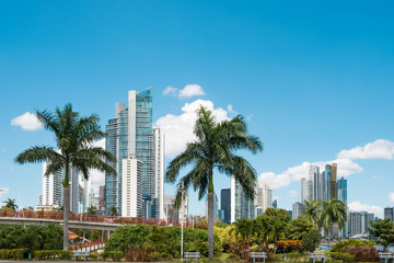 Fototapeta na wymiar public park, palm trees and skyline with skyscrapers - Panama City