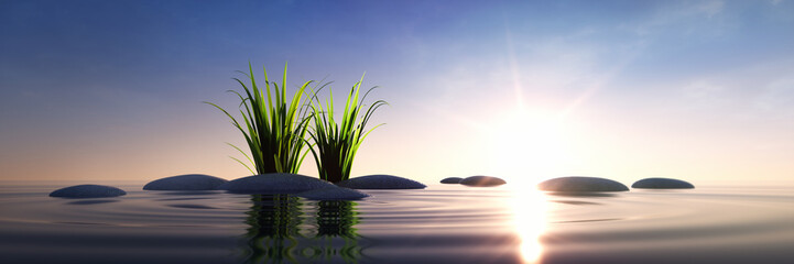 Fototapeta na wymiar Steine mit Gras im Meer bei Sonnenuntergang
