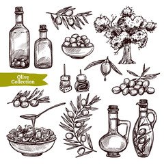 Hand Drawn Olive Oil Collection With Olive Tree, Olive Branches And Olive Bottles