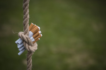 Cigarettes are tied on a knot with a thick rope on a green background. Quit smoking.
