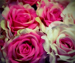 pink and white flowers in a basket