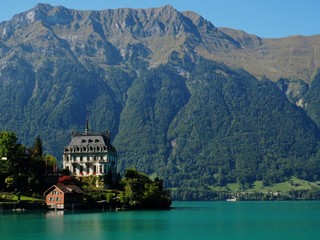 Fototapeta premium OLYMPUS DIGITAL CAMERA