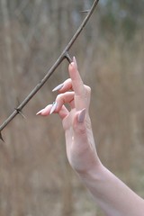 a female hand with long nails