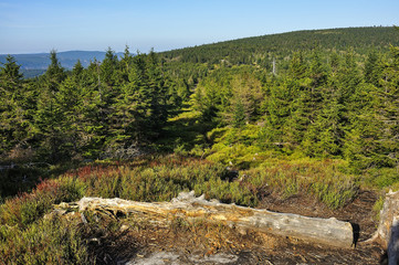 Góry Izerskie - krajobraz © Grzegorz Polak