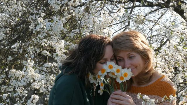 Portrait of adult middle-aged mother and her adult daughter who inhale smell the scent of flowers of daffodils for Mother's Day against the background of a flowering tree
