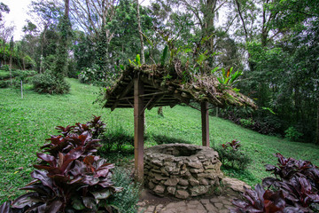 beautiful park background surrounded by nature in the woods and a lake