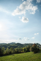 Beautiful nature and amazing sunny day