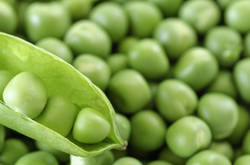 Fresh peas texture background. Green peas background pattern.