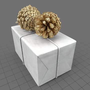 Wrapped present with pine cones